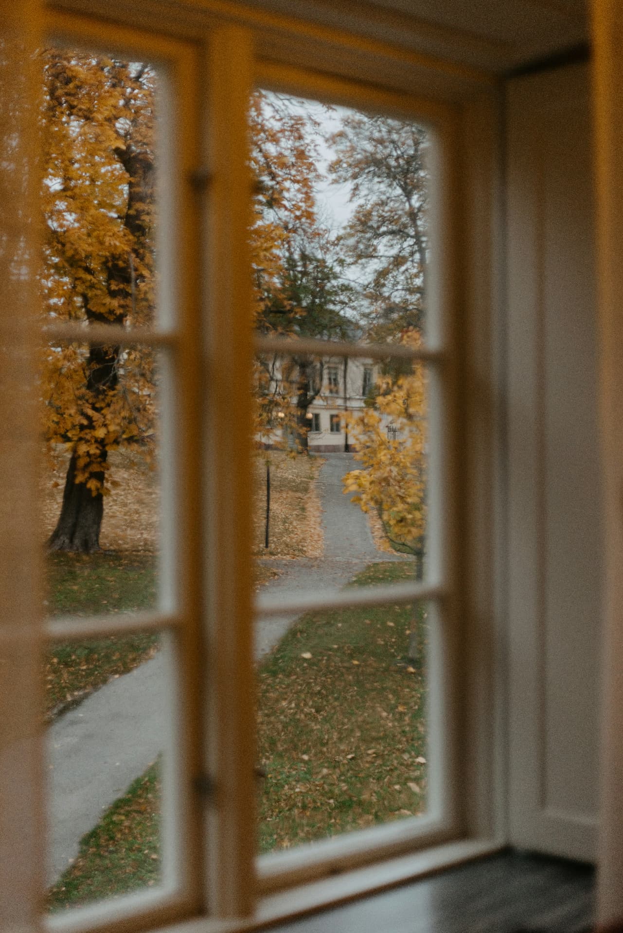 Blick durch ein Fenster auf herbstlich gefärbte Bäume